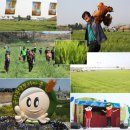 보리상사 이미지