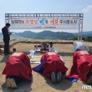 포항시남구40 이미지