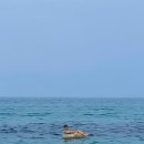 가이펜션 이미지