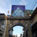 (주)제주파랑새관광여행사 | 해외패키지여행 제주파랑새관광여행사와 함께한 특별한 여행 경험