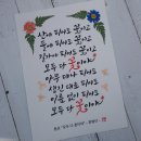 고운디자인 이미지