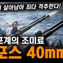 대공포계의 조미료 &#34;보포스 40mm&#34; / 끈질기게 살아남아 죄다 격추한다! [지식스토리] 이미지