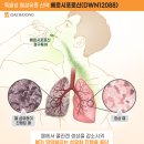 희가 이미지