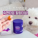 랑'S종합동물병원 | 강아지종합영양제, 예민한 비숑가족 이지케어 나이트