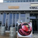 타겟헌터영종도 | [인천 중구] 영종도 구읍뱃터 바다앞라면집 / 문어...바다앞테라스 / 내돈내산 후기 - 바다 앞 시리즈 3