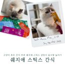 냐옹펫 | 고양이 츄르 간식 추천 쉐지애 스틱스 냥린이 음수량 늘리기 최애간식