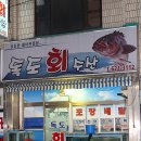 독도회수산 Daum카페
