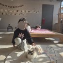 예뻐질개 | 새끼묘에 심장 털림… 구미 예뻐질:개 &amp;고양이카페 후기