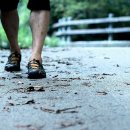 물소리새소리 이미지