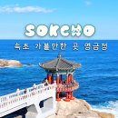 영금정 | 강원도 속초 갈만한곳 영금정 동명항 회센터