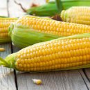 초당옥수수 뜻 칼로리 보관 먹는법 알아보기 이미지