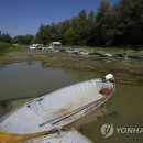 Antonio`s Farm 이미지