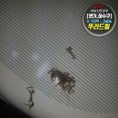 하수구뚫음하수도막힘역류고압세척정화조 이미지
