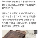 규산염 광물 운모는 면역력 키우는 암치료제 이미지