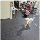 행복한아이유치원 이미지