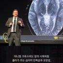 콜라폰 이미지