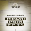 동맥경화 증상 발생하는 이유는 이것