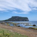 그린카하우스 이미지