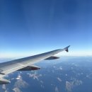 웰빙나라(과일이랑야채랑) | ‘차원이 달랐던’ 뉴질랜드 후기 제 점수는요 ⭐️⭐️⭐️⭐️