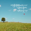 쉴만한 물가 이미지