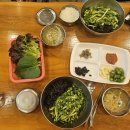 부산회관 | 부산 연산동 포항회관 포항물회 후기｜30년 전통 물회 맛집, 한치물회 솔직후기
