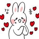 월드카서비스 이미지