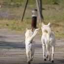 산울림민박 이미지