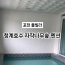 청계호수 자작나무숲 펜션 이미지