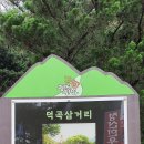 원조할매어탕
