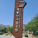 456펜션