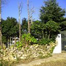 섬사랑펜션민박 이미지