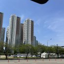 고양축산농협앞 버스정류장 | 2025 고양 꽃박람회 평일 낮에 다녀온 후기(주차,셔틀버스,유모차)
