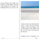 피노엔키오 이미지