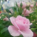 을목식당 이미지