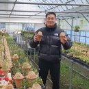 성관농장 이미지