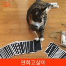 (주)예원통상 이미지