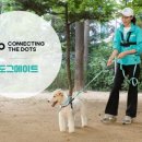 커넥팅닷츠 이미지