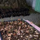 송내목장 이미지