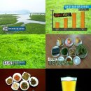 천기누설