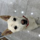 도서관(구립) 삼산도서관(3) 이미지