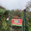 오티농장 이미지