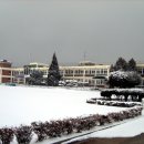 부론중학교 이미지