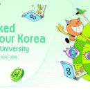 훅트 - 94591 | 훅트