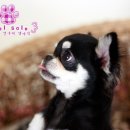 금대리828 이미지