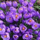 국적행정사사무소 이미지