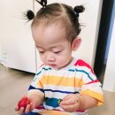 실패없는농산물