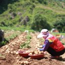 감물농장 이미지