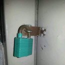 (진행사항보고)압구정 구현대 아파트 고양이 사건, 한강맨션 고양이 데자부 이미지