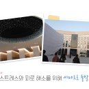 서울탑치과 이미지