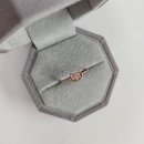 냥이댕이 이미지